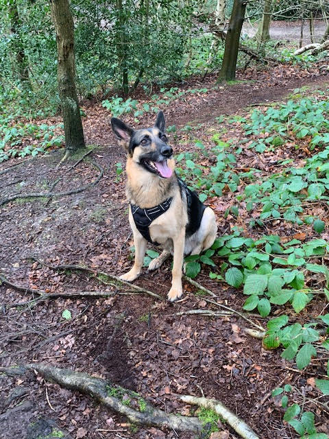 BAXTER in Cambridgeshire